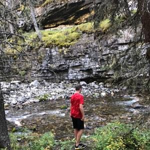 Meet your Posher, Owen